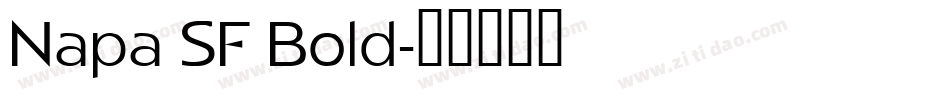 Napa SF Bold字体转换